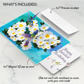 Daisy Patch Hummingbirds Belated Birthday Pop-Up Card and Sentiment Set