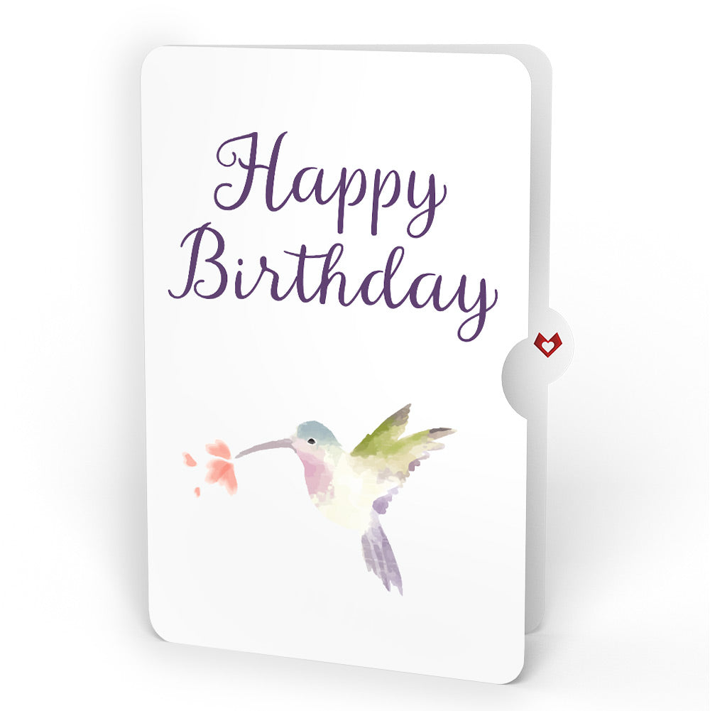 Daisy Patch Hummingbirds Birthday Pop-Up Card and Hummingbird Kisses Sentiment Set