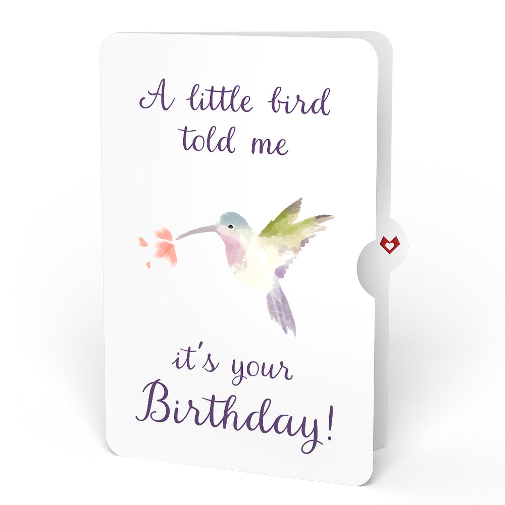 Hummingbird Birthday Pop-Up Card and A Little Hummingbird Kisses Sentiment Set