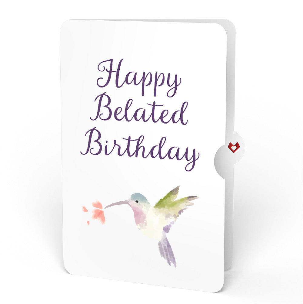 Hummingbird Belated Birthday Pop-Up Card and Sentiment Set