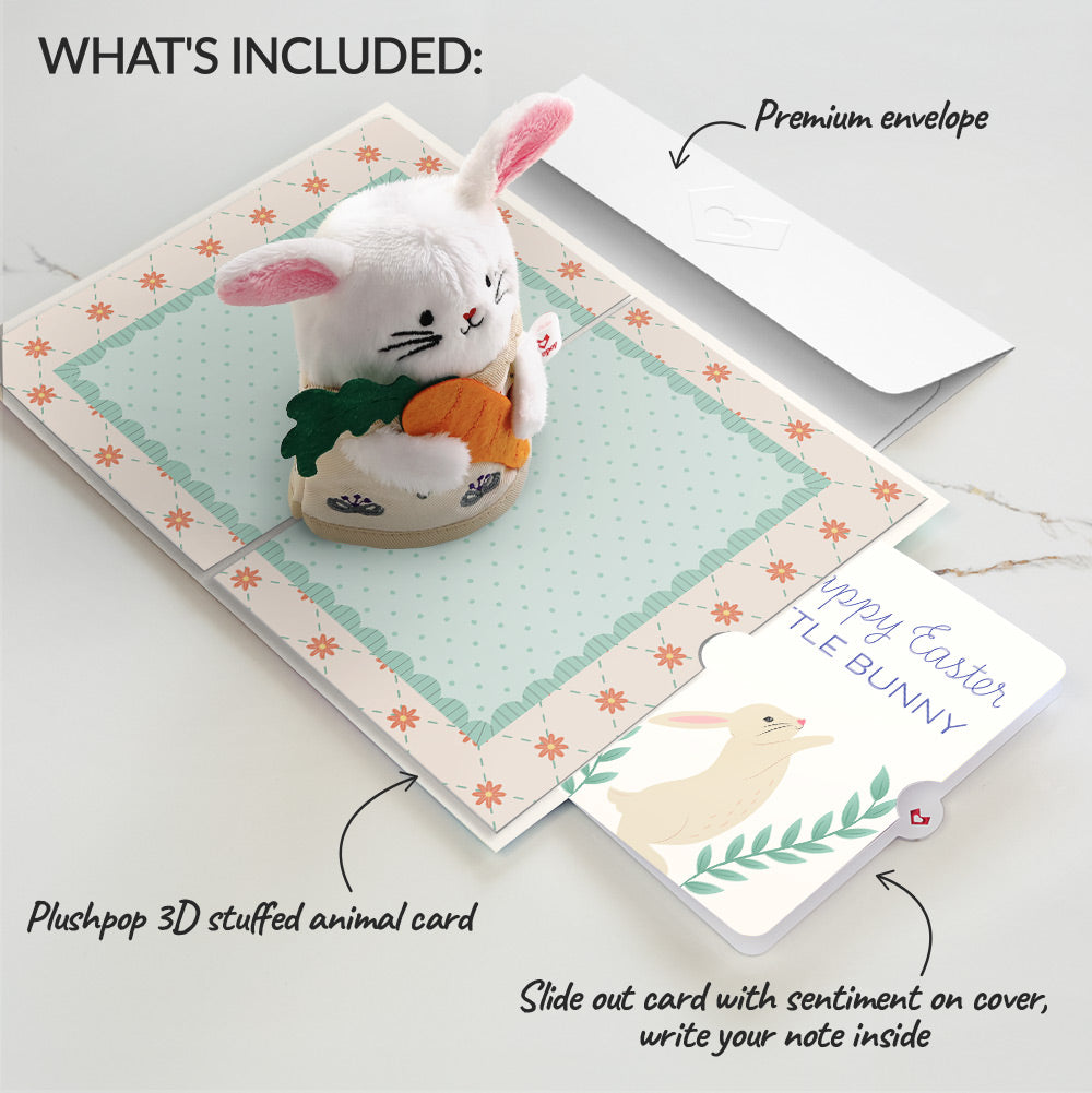 'Happy Easter Wishes' Bunny Plushpop Card and Sentiment Set for Kid