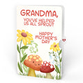 'Love You So Mush' Mother’s Day Plushpop Card and Sentiment Set for Grandmother
