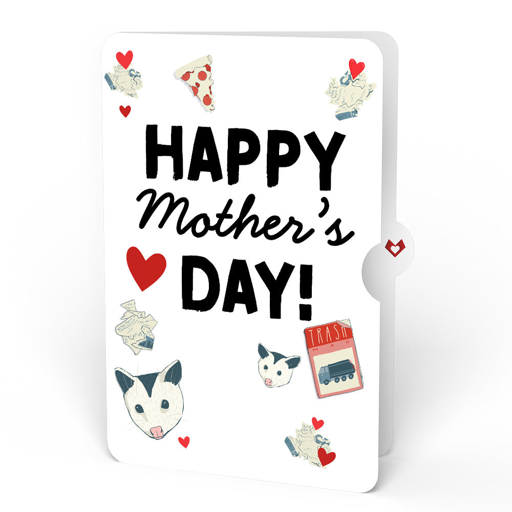 Party Possums Mother’s Day Glitter Bouquet and Sentiment Set