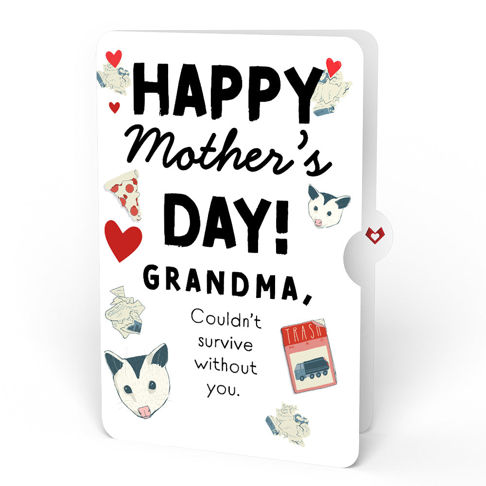 Party Possums Mother’s Day Glitter Bouquet and Sentiment Set for Grandmother