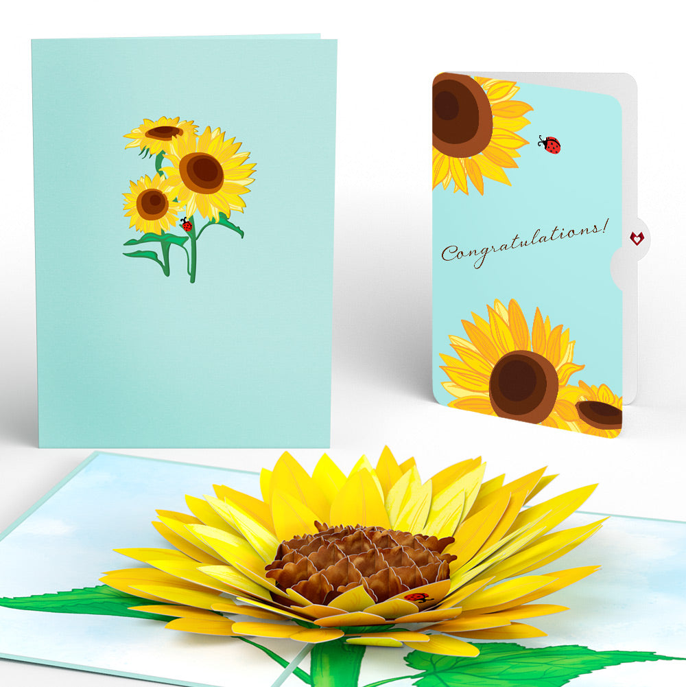 Sunflower Bloom Congratulations Pop-Up Card and Sentiment Set
