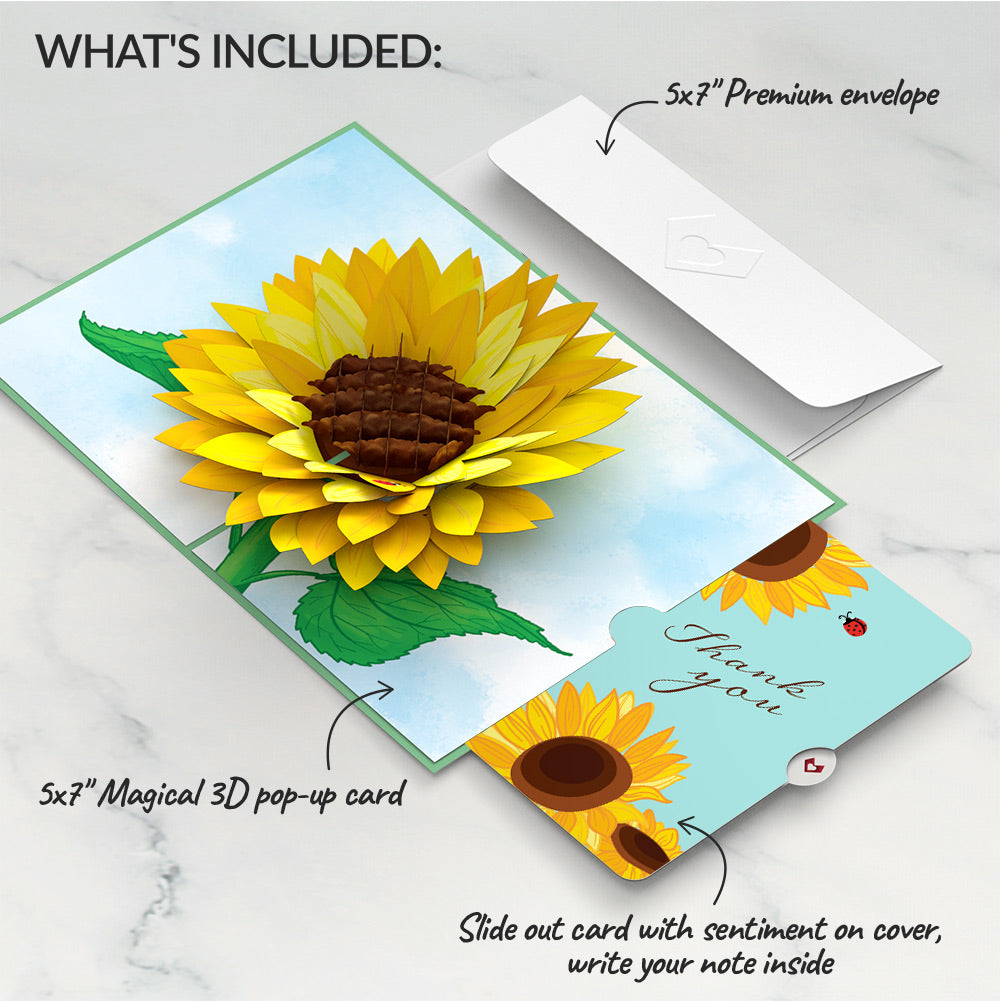 Sunflower Bloom Thank You Pop-Up Card and Sentiment Set