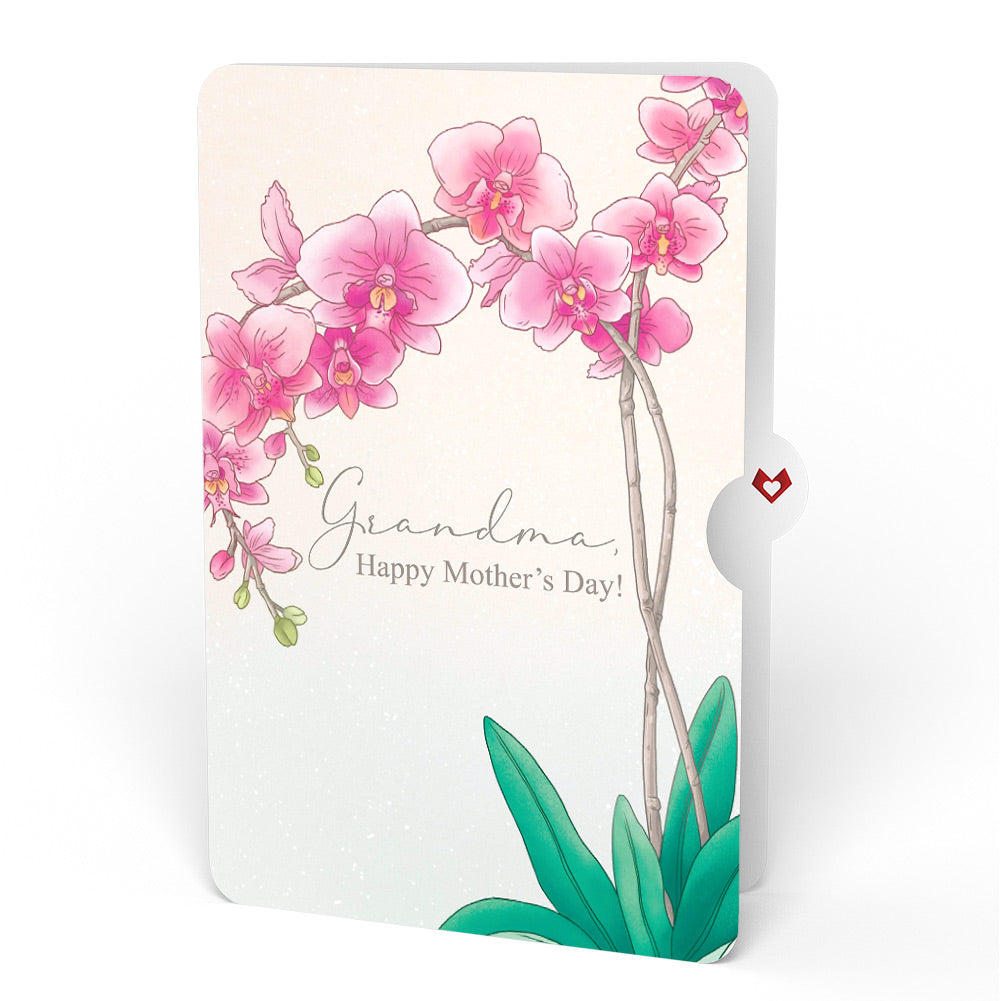 Mother’s Day Orchid Pop-Up Card and Sentiment Set for Grandmother
