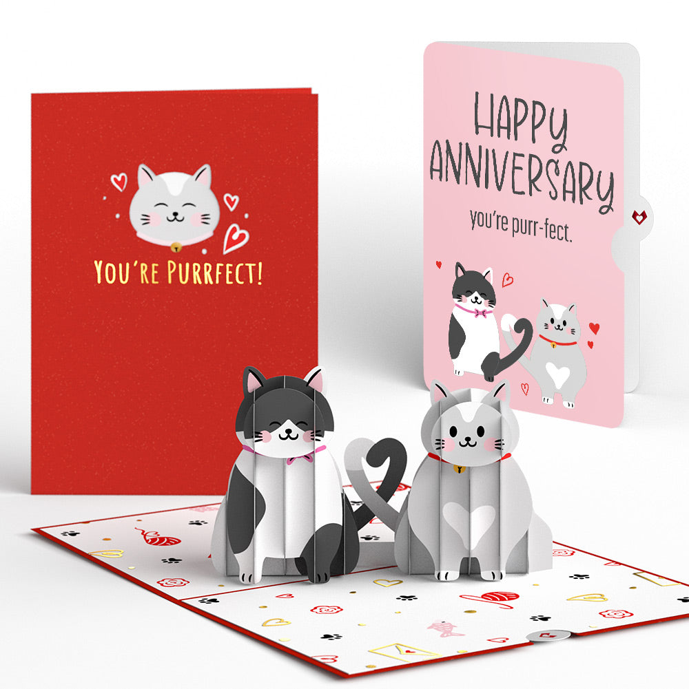 Love Cats Anniversary Pop-Up Card and Purrfect Cats Sentiment Set
