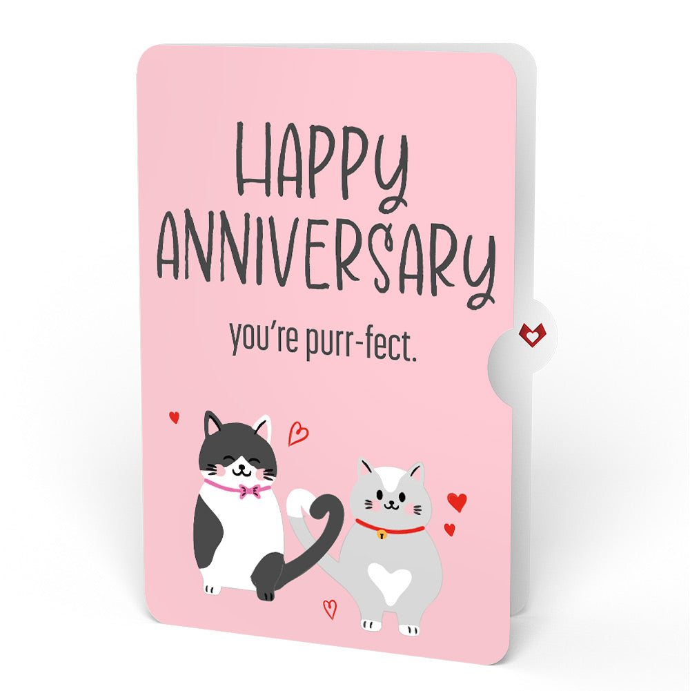 Love Cats Anniversary Pop-Up Card and Purrfect Cats Sentiment Set