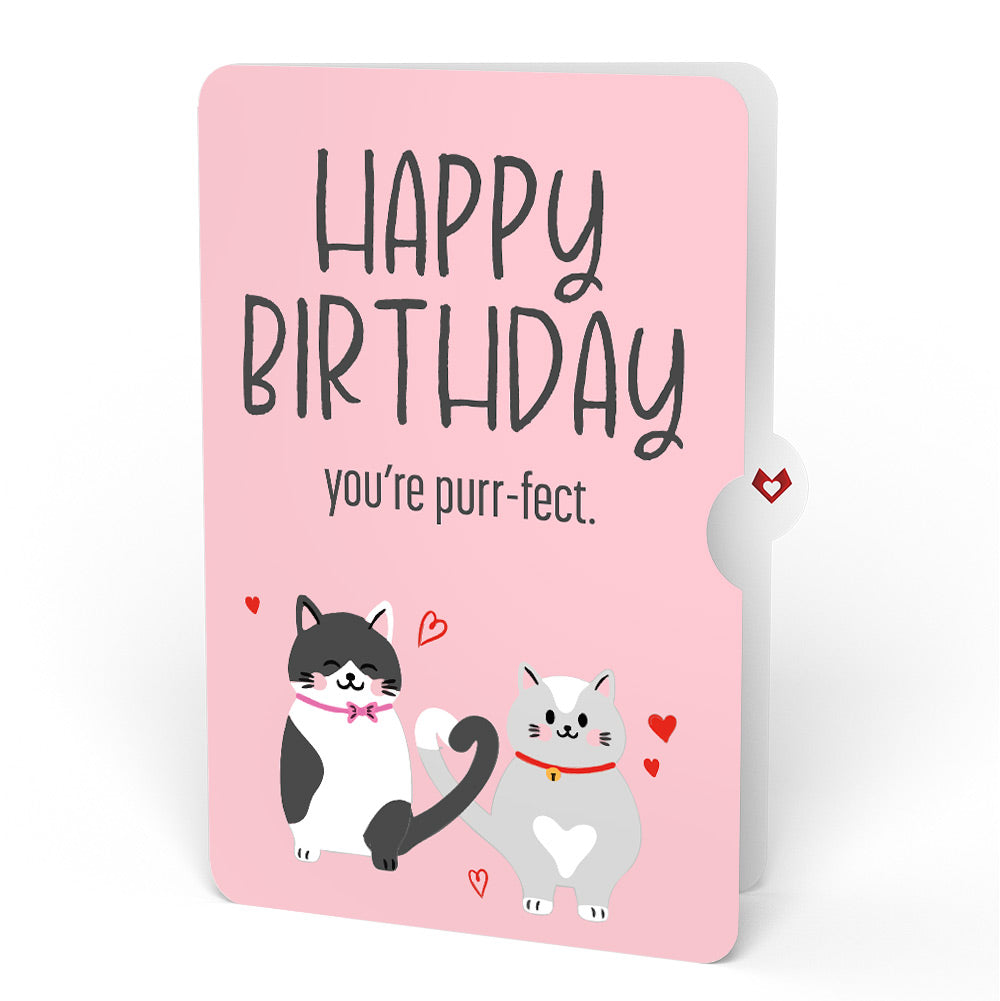 Love Cats Birthday Pop-Up Card and Sentiment Set