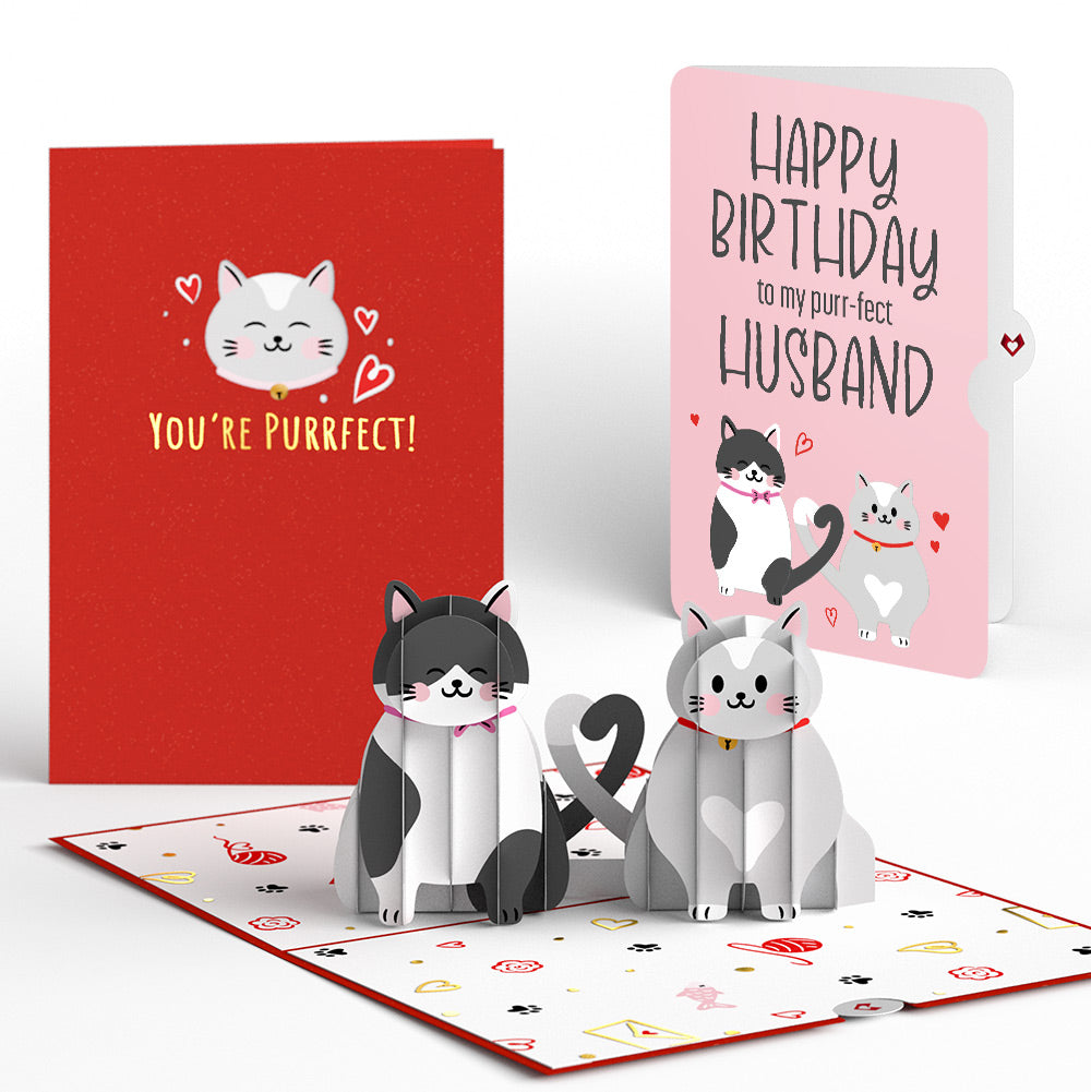 Love Cats Birthday Pop-Up Card and Sentiment Set for Husband