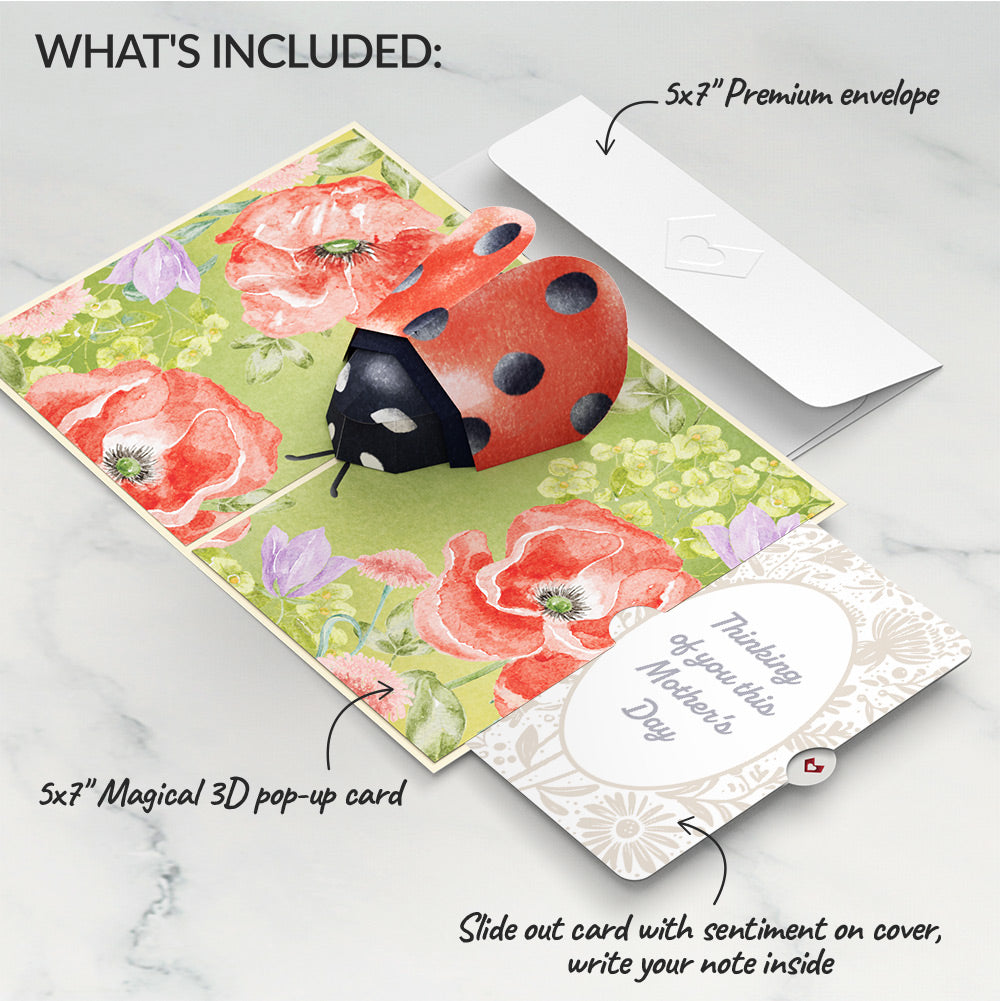 Lovely Ladybug Mother’s Day Pop-Up Card and Sentiment Set for Mom