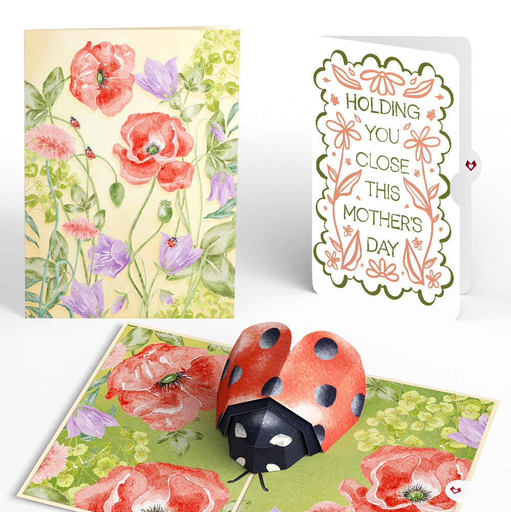 Lovely Ladybug Mother’s Day Pop-Up Card and Vintage Blossom Sentiment Set for Mom