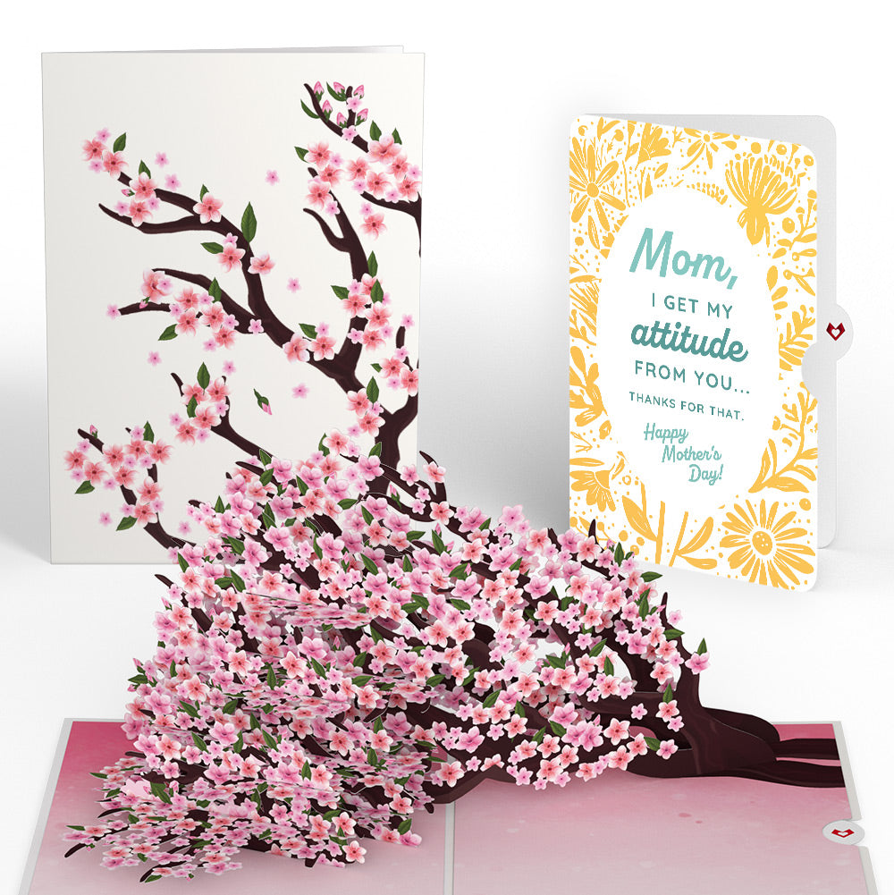 Cherry Blossom Branches in Bloom Mother’s Day Pop-Up Card and Sunny Bloom Sentiment Set for Mom
