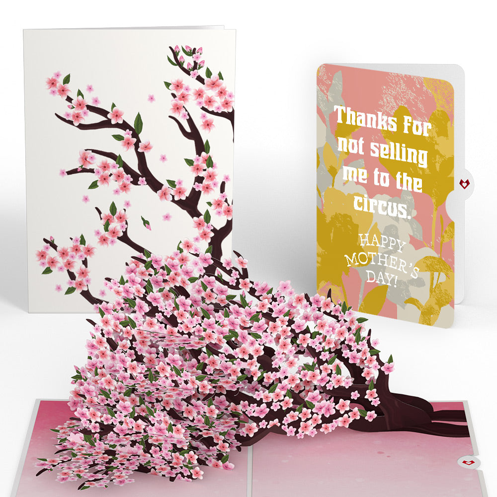 Cherry Blossom Branches in Bloom Mother’s Day Pop-Up Card and Playful Painted Bloom Sentiment Set for Mom