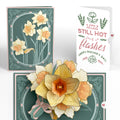 Daffodils in Bloom Mother’s Day Pop-Up Card and Playful Herb Garden Sentiment Set for Mom