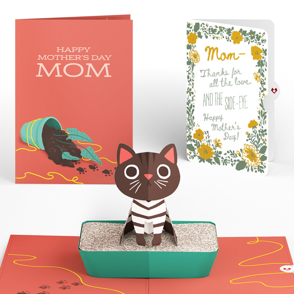 Thanks for Putting Up with My Crap Mother’s Day Pop-Up Card and Golden Wildflower Frame Sentiment Set for Mom