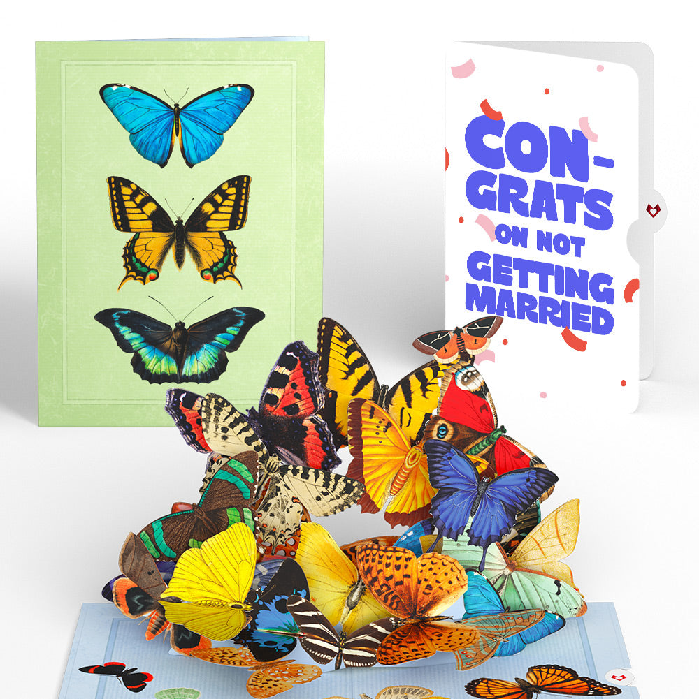 Butterflies in Flight Breakup Pop-Up Card and Playful Confetti Sentiment Set
