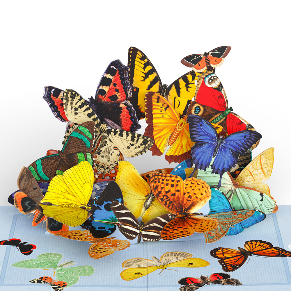 Butterflies in Flight Breakup Pop-Up Card and Playful Confetti Sentiment Set