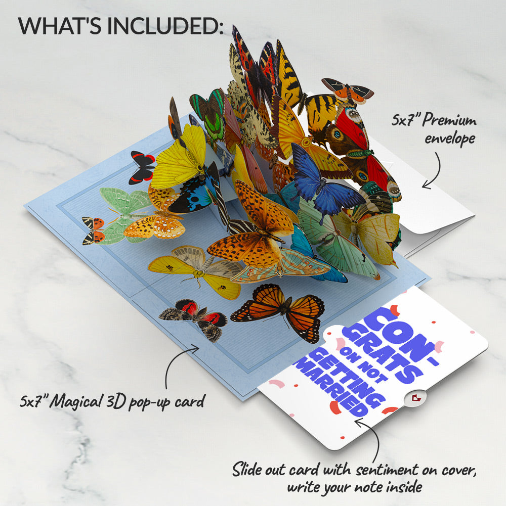 Butterflies in Flight Breakup Pop-Up Card and Playful Confetti Sentiment Set
