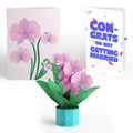 Orchid Breakup Card with Mini Bouquet and Playful Confetti Sentiment Set