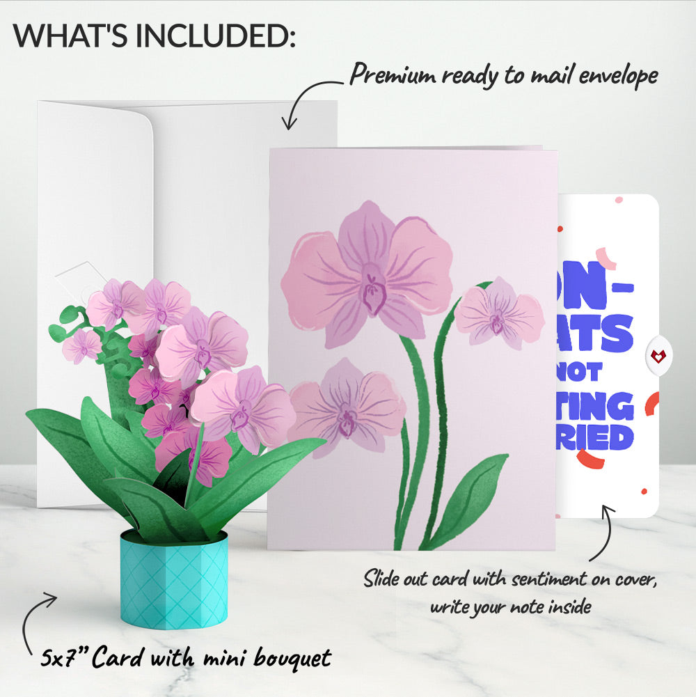 Orchid Breakup Card with Mini Bouquet and Playful Confetti Sentiment Set