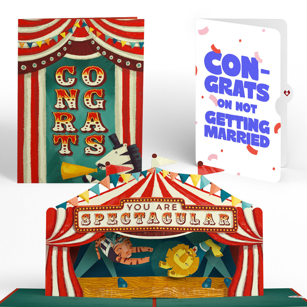 Congrats, You Are Spectacular Breakup Pop-Up Card and Playful Confetti Sentiment Set
