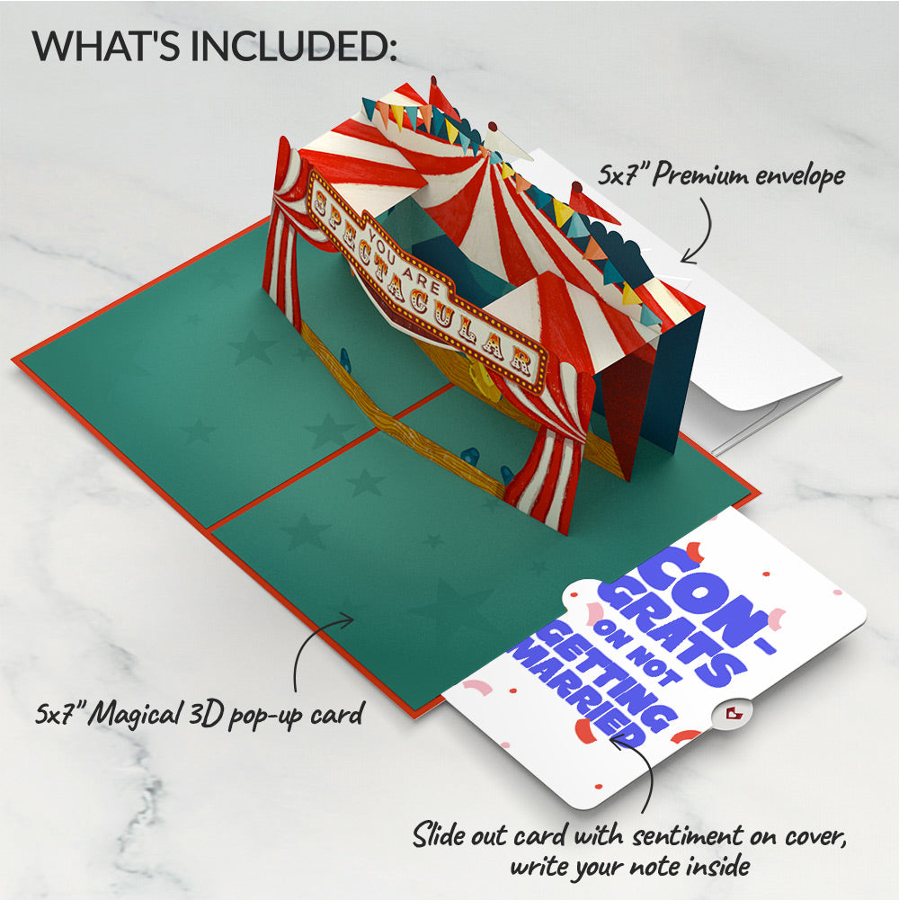 Congrats, You Are Spectacular Breakup Pop-Up Card and Playful Confetti Sentiment Set