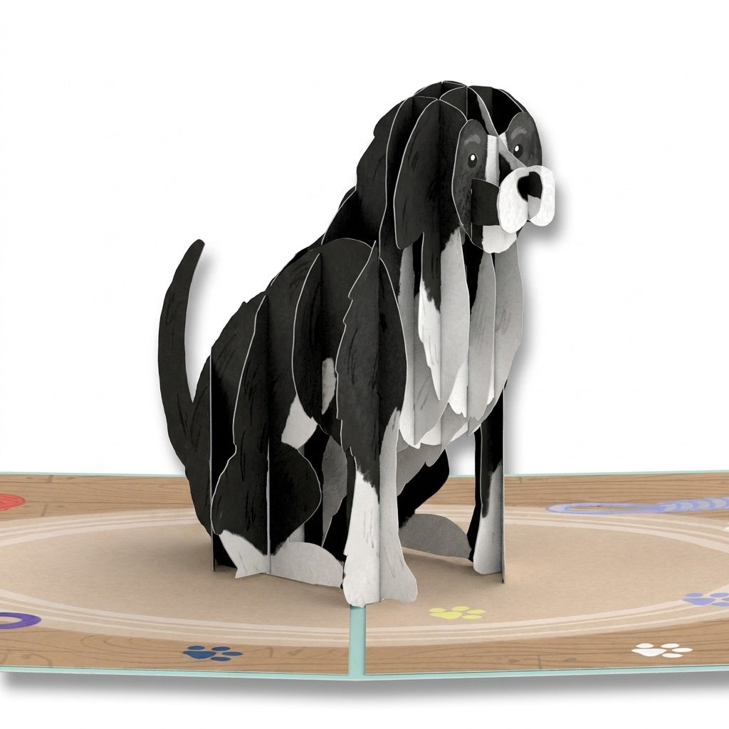 Playful Dog Birthday Pop-Up Card and Family Dog Sentiment Set