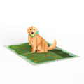 Playful Golden Retriever Father's Day Pop-Up Card and Sentiment Set for Dad