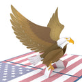 Patriotic Eagle 4th of July Pop-Up Card and 250 Years of Freedom Sentiment Set