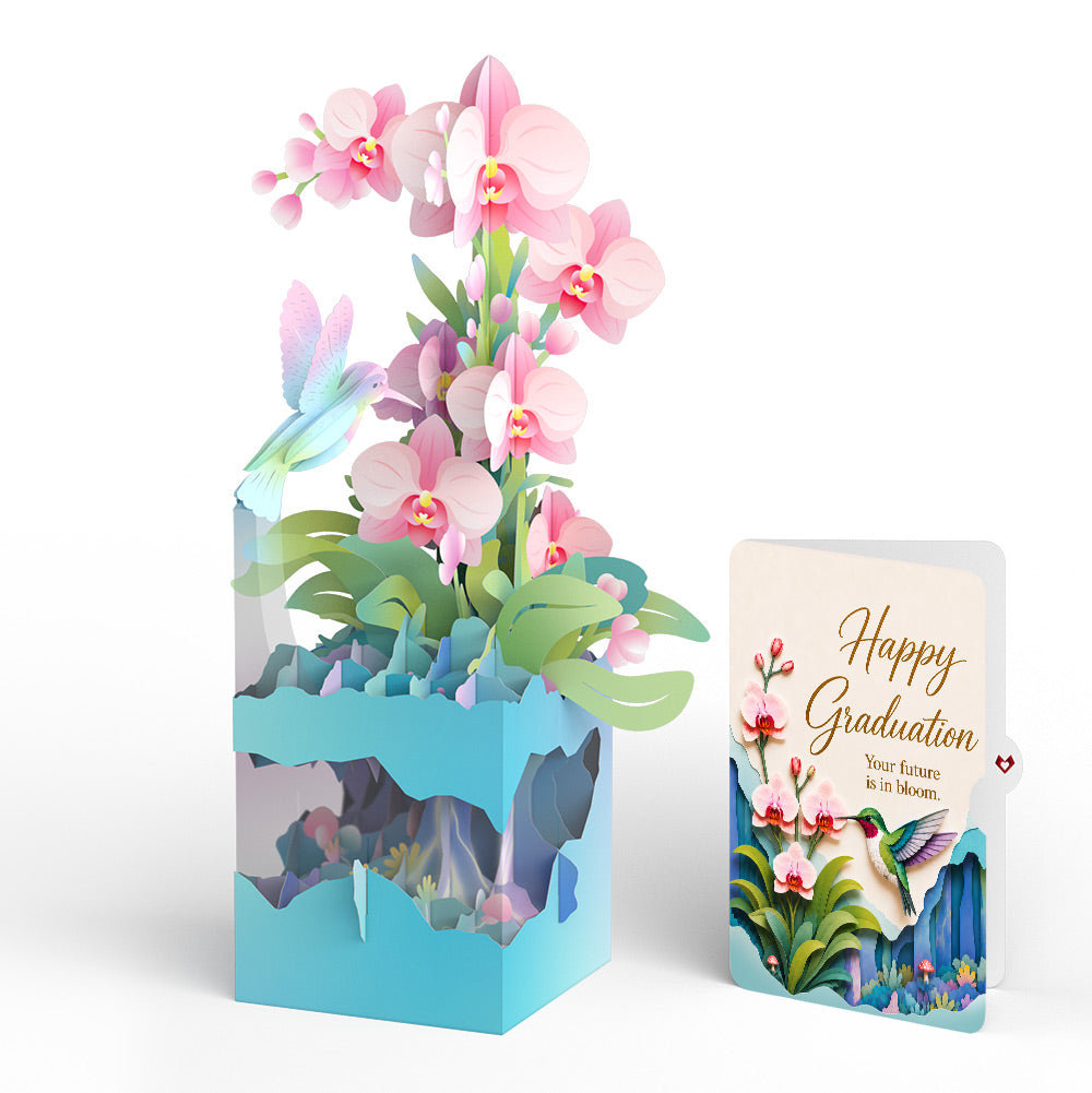Hummingbird Graduations Unboxed Pop-Up Paper Sculpture and Sentiment Set