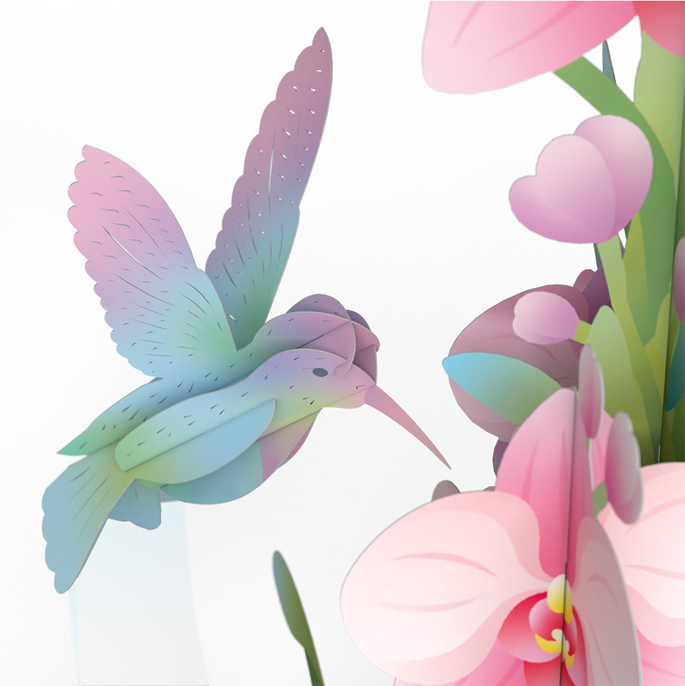Hummingbird Graduations Unboxed Pop-Up Paper Sculpture and Sentiment Set