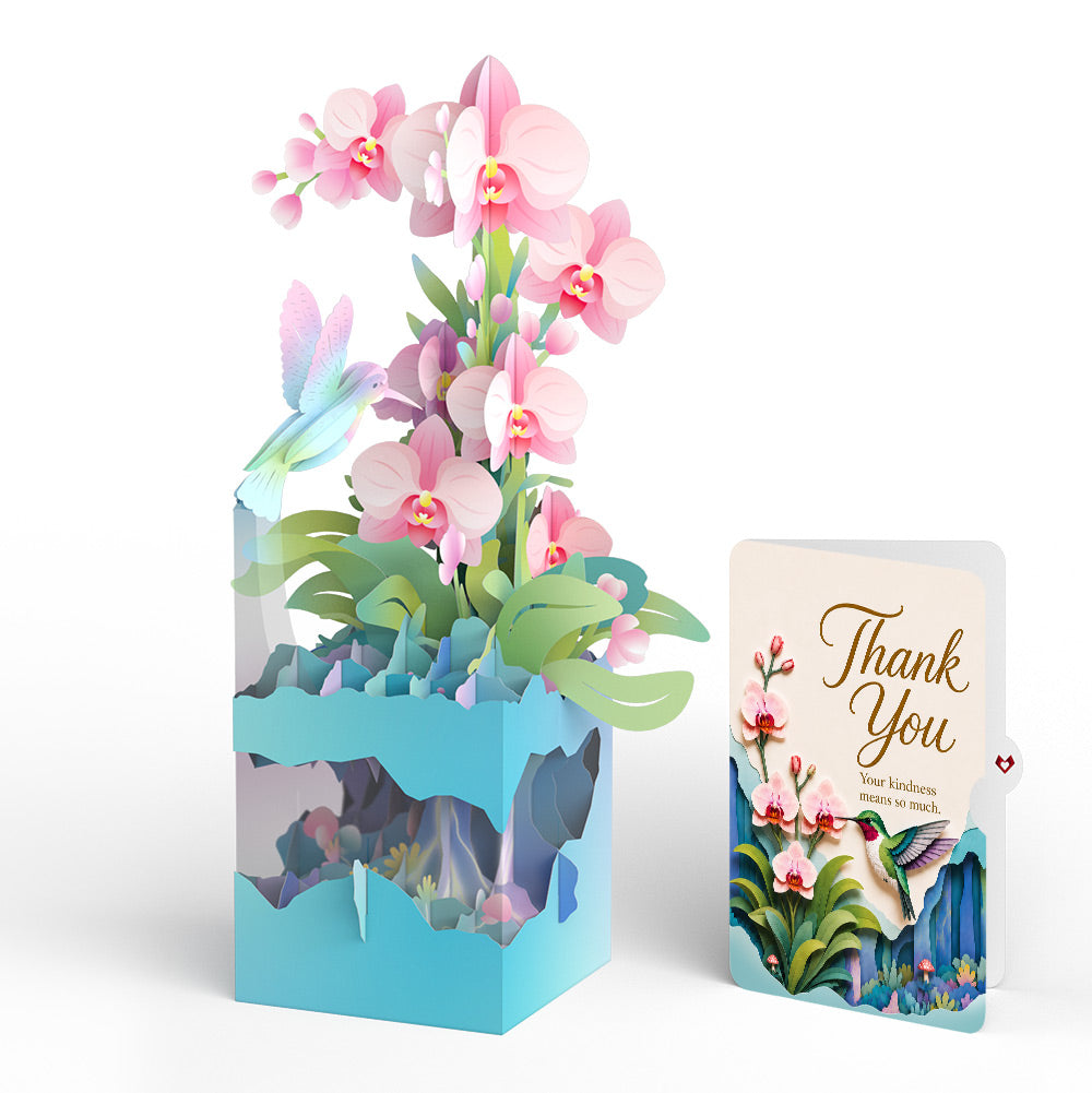 Hummingbird Thank You Unboxed Pop-Up Paper Sculpture and Sentiment Set
