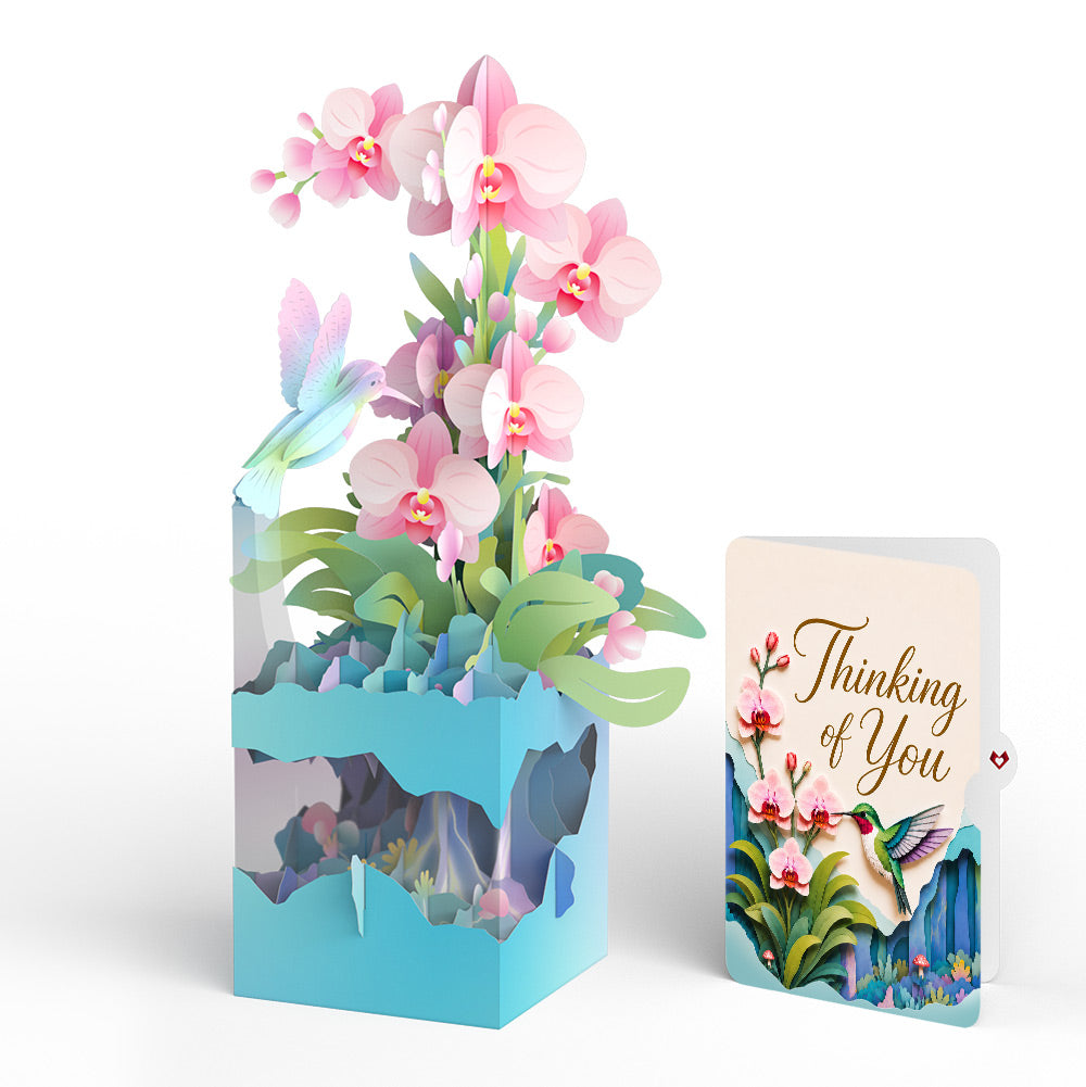 Hummingbird Thinking of You Unboxed Pop-Up Paper Sculpture and Sentiment Set