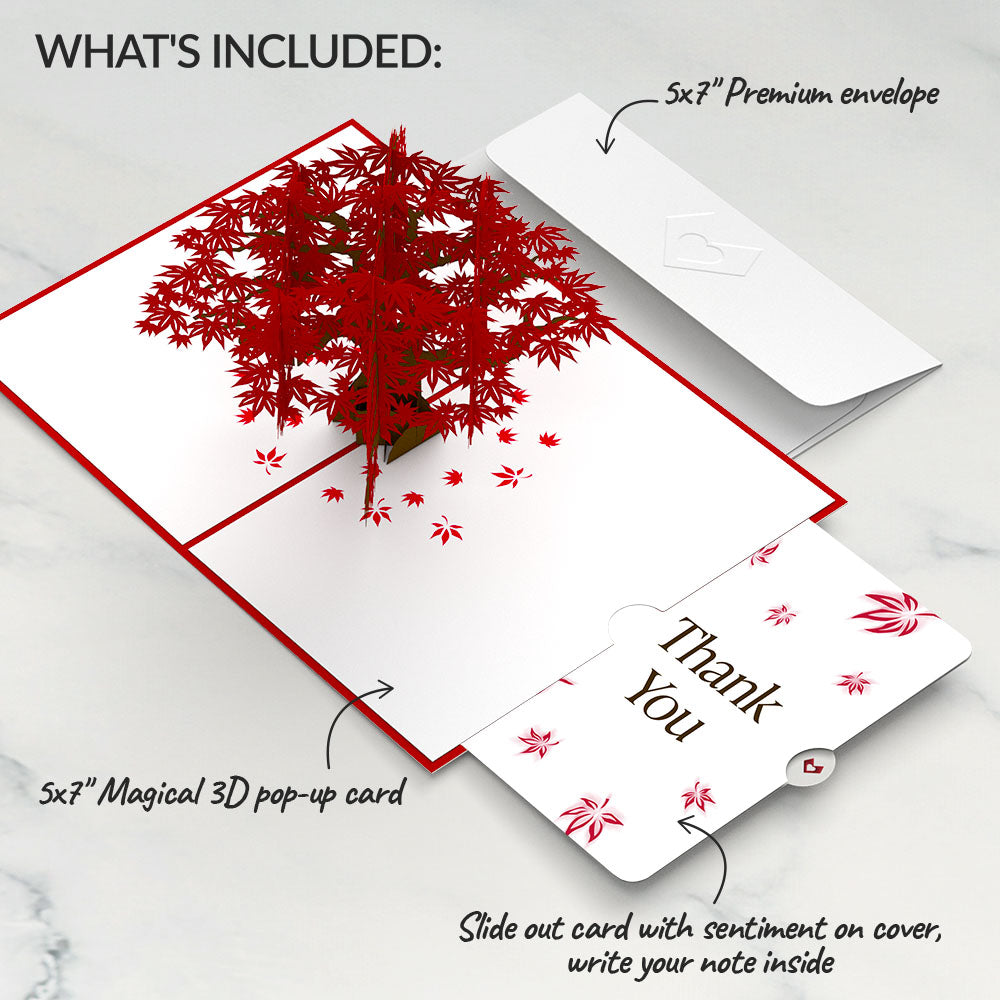 Japanese Maple Thank You Pop-Up Card and Sentiment Set