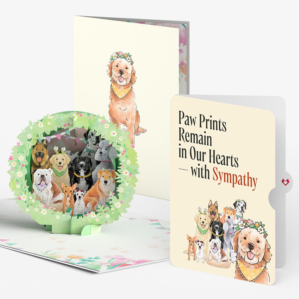 Dog Mom Sympathy Pop-Up Card and Sentiment Set