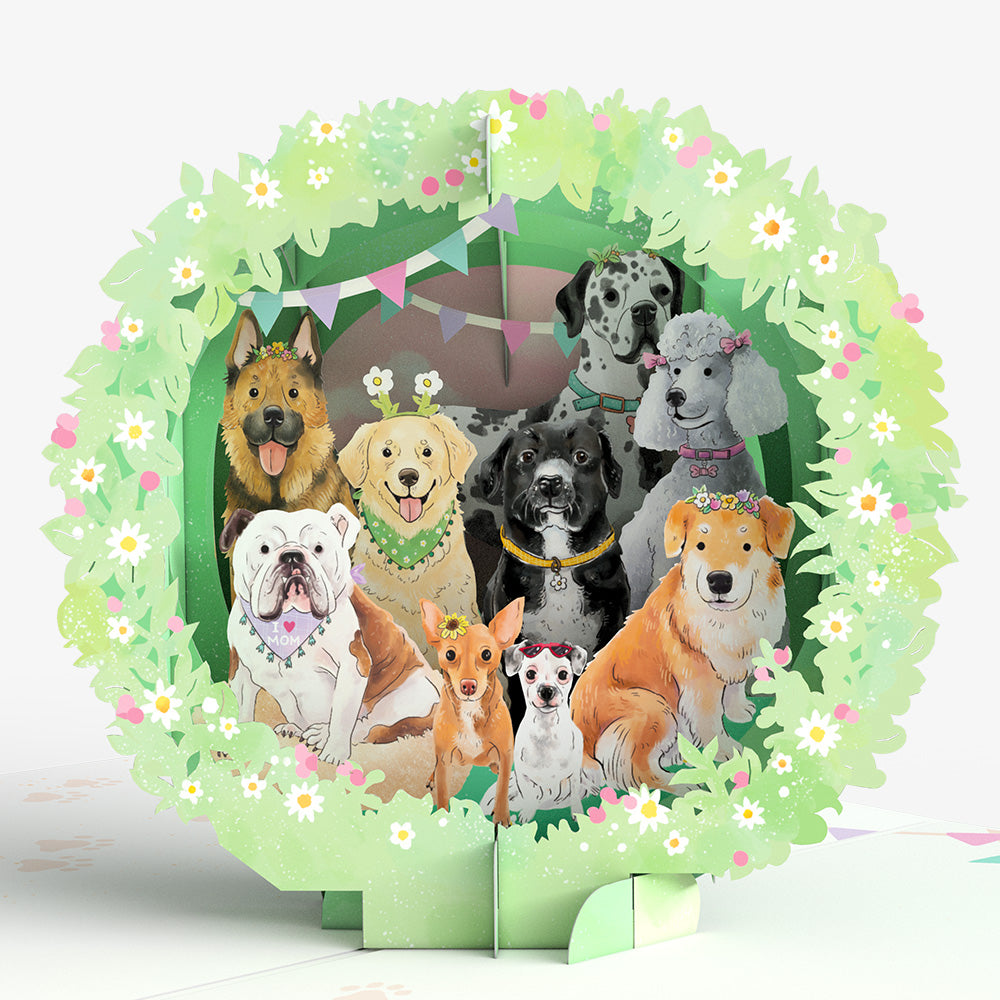 Dog Mom Sympathy Pop-Up Card and Sentiment Set