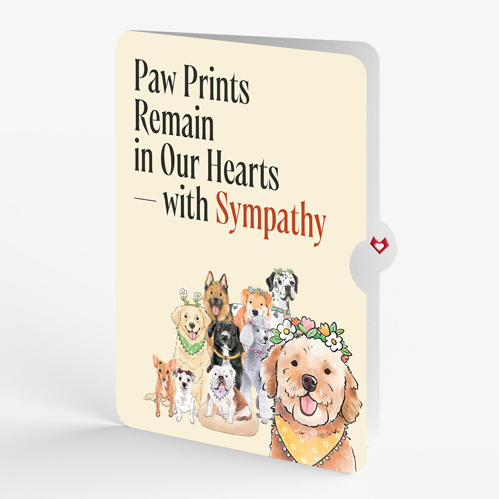 Dog Mom Sympathy Pop-Up Card and Sentiment Set