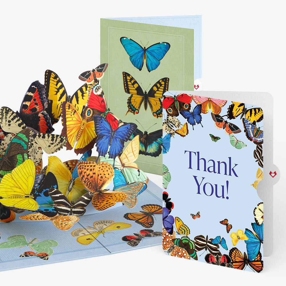 Butterflies in Flight Thank You Pop-Up Card and Sentiment Set