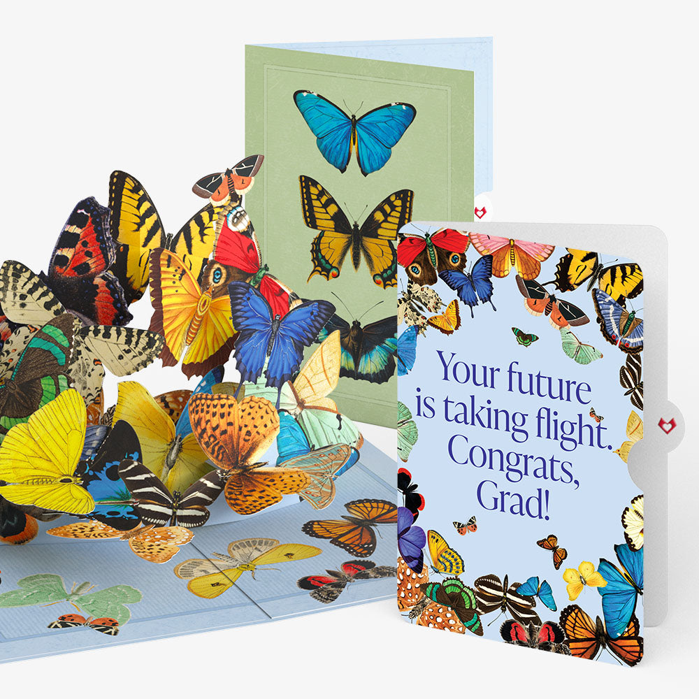 Butterflies in Flight Graduations Pop-Up Card and Sentiment Set