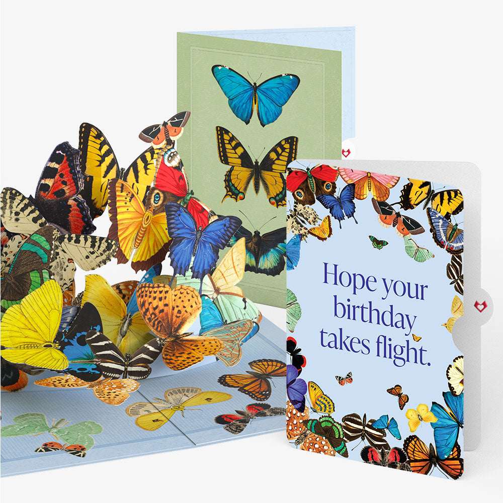 Butterflies in Flight Birthday Pop-Up Card and Sentiment Set