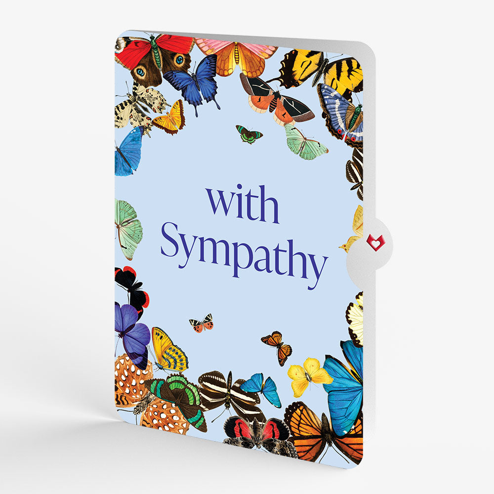 Butterflies in Flight Sympathy Pop-Up Card and Sentiment Set