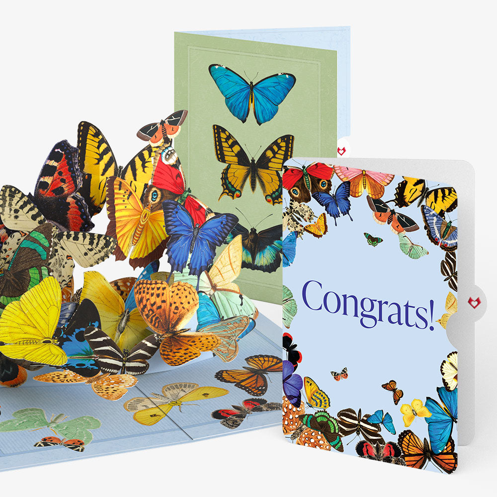 Butterflies in Flight Congratulations Pop-Up Card and Sentiment Set