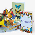 Butterflies in Flight Congratulations Pop-Up Card and Sentiment Set