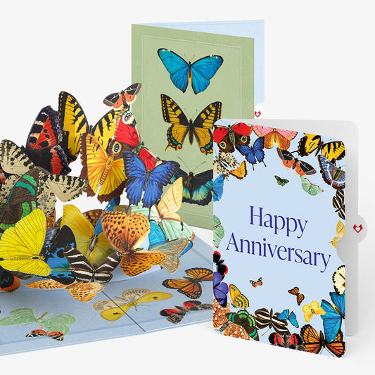 Butterflies in Flight Anniversary Pop-Up Card and Sentiment Set