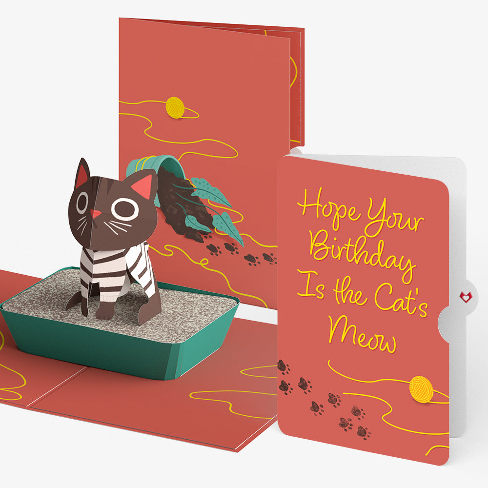 Mischievous Cat Birthday Pop-Up Card and Sentiment Set