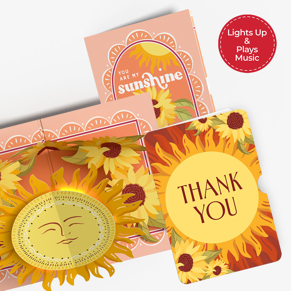 You Are My Sunshine Thank You Music and Lights Pop-Up Card and Sentiment Set