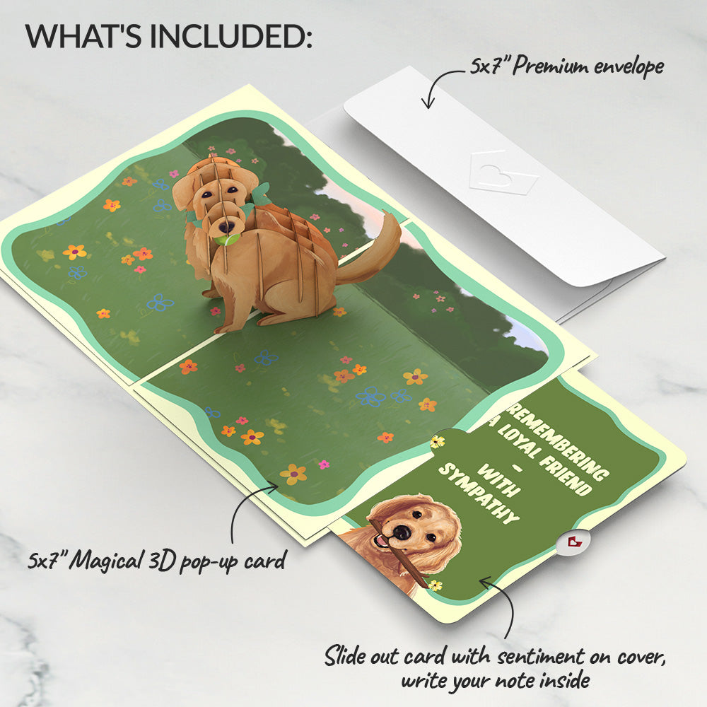 Playful Golden Retriever Sympathy Pop-Up Card and Sentiment Set