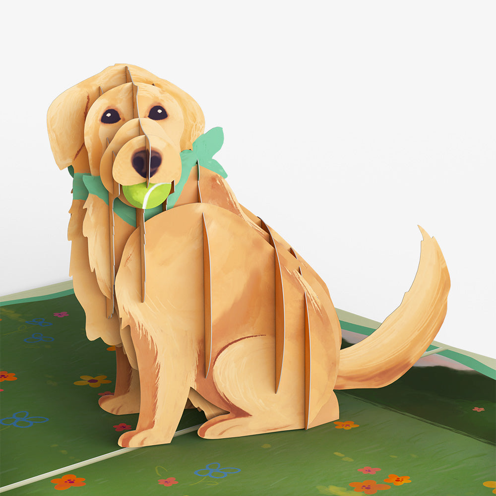 Playful Golden Retriever Sympathy Pop-Up Card and Sentiment Set